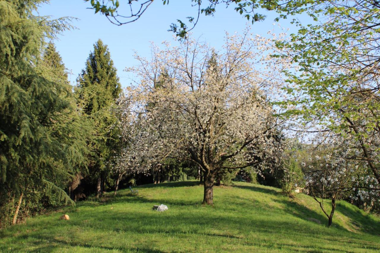 Villa Flangini อาโซโล ภายนอก รูปภาพ